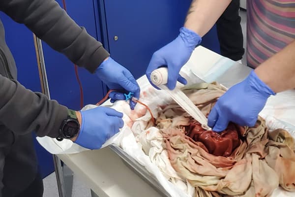 Cursos de  control de hemorragias en Vilagarcía